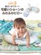 �ҤĤ��Υ��硼�� �����ƥ��ӥƥ� �ץ쥤����