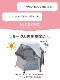 �������å���ȥåץ��С� �����Ƥ������٥ӡ�������������  ���饦�� 