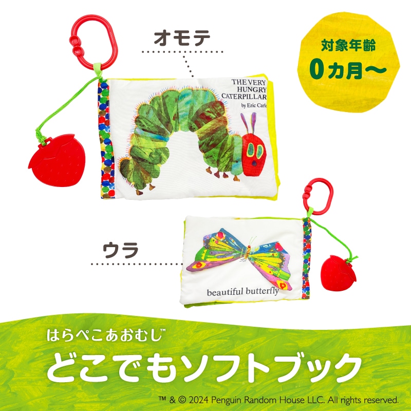 �Ϥ�ڤ������ष �ɤ��Ǥ⥽�եȥ֥å�(C������դ�)�ڤ椦�ѥ��å�����������̵���� 