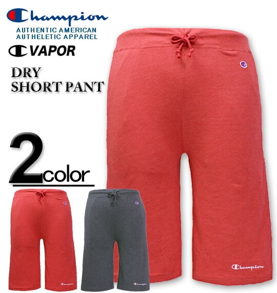 ��SALE���ʡ��礭�������� Champion(�����ԥ���) �ɥ饤�������å� �ϡ��եѥ�� 3L 4L 5L�ڥ������ʤΤ������ʸ��Բġ�
