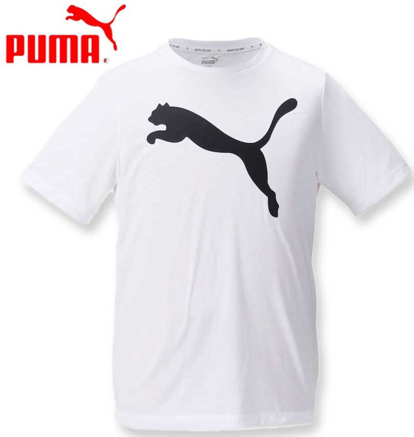 �礭�������� PUMA �ס��� �����ƥ��֥ӥå�����ȾµT����� �ס��ޥۥ磻�� 2XL 3XL 4XL ����̵��
