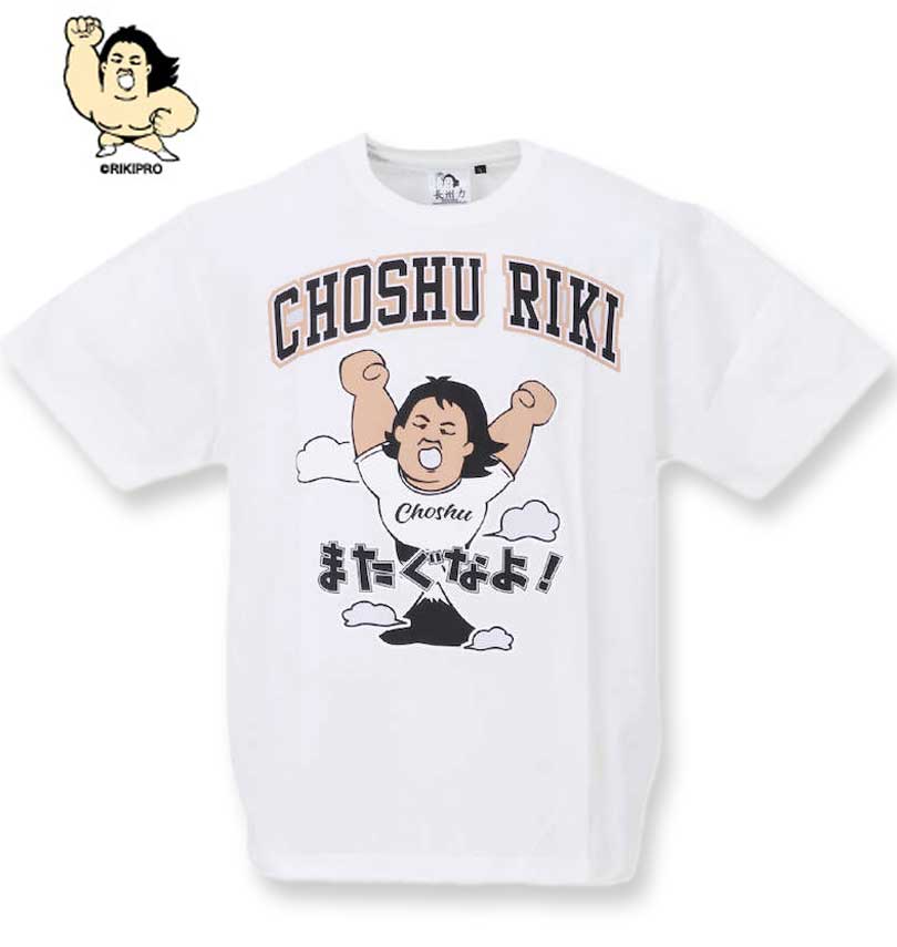 �礭�������� Ĺ���� ŷ���ץ���ȾµT����� ���եۥ磻�� 3L 4L 5L 6L 8L ����̵��