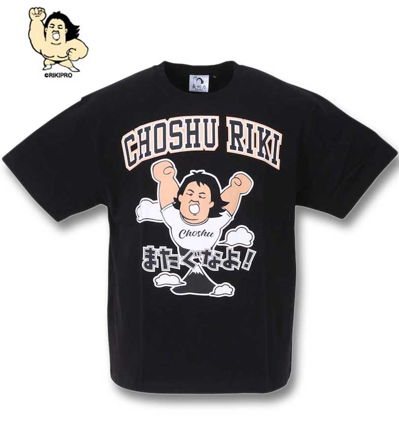 �礭�������� Ĺ���� ŷ���ץ���ȾµT����� �֥�å� 3L 4L 5L 6L 8L ����̵��