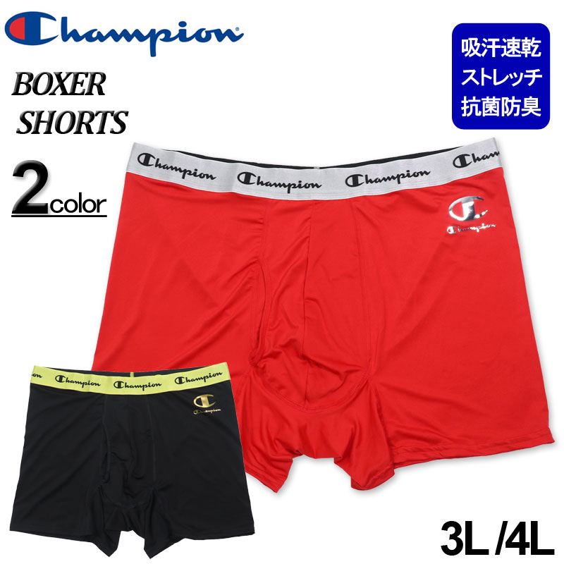 礭 Champion ԥ ȥå㡼 ץ ܥѥ 3L 4L