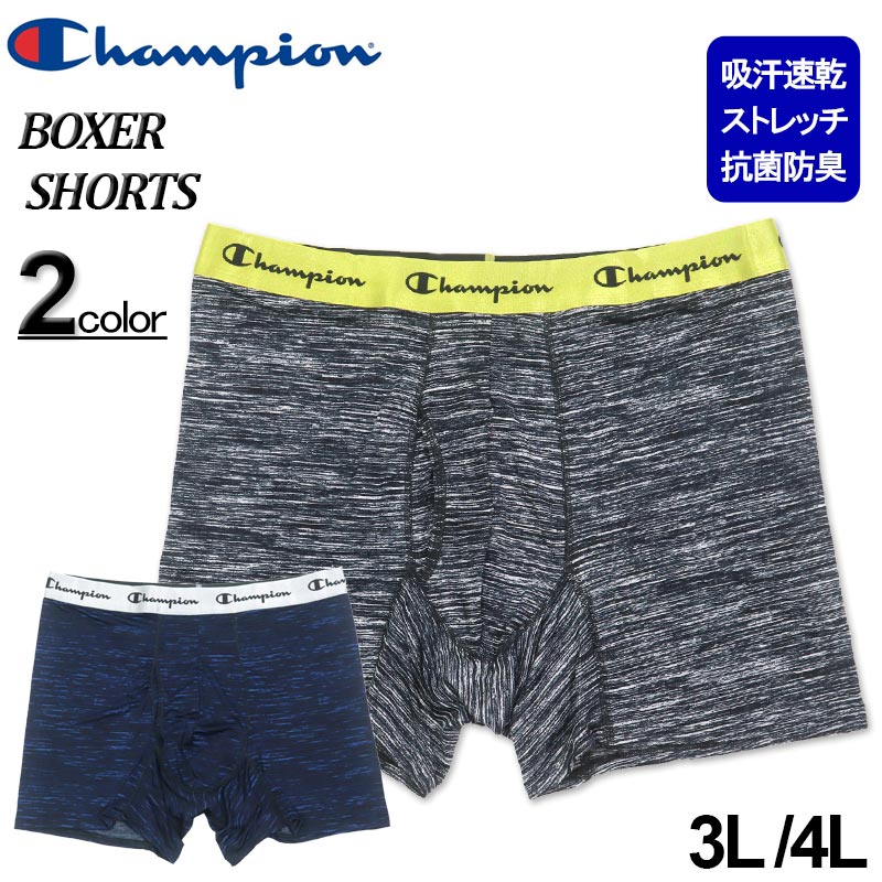 礭 Champion ԥ ȥå㡼  ܥѥ 3L 4L
