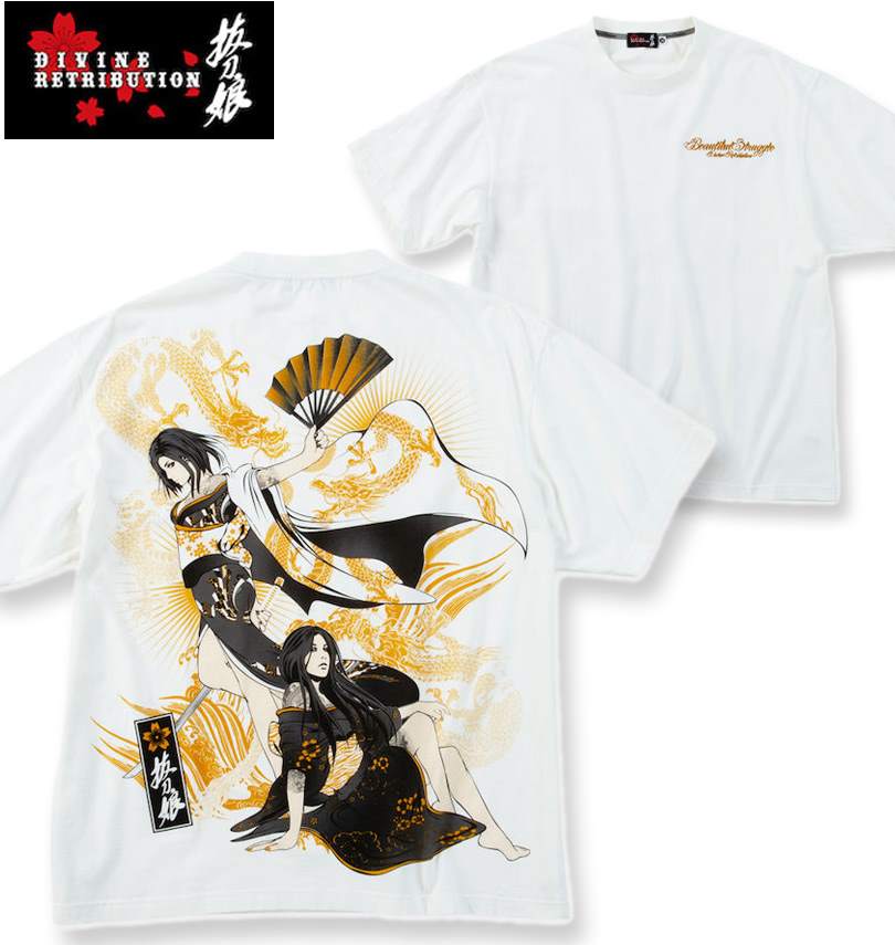 礭 ȴ̼ & ζƧ Ⱦµ T ۥ磻 3L 4L 5L 6L ̵