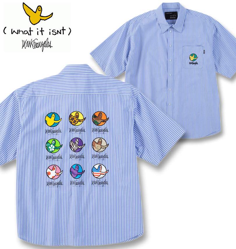 礭 (What it isNt) ȥ饤 Ⱦµ å֥롼 3L 4L 5L 6L 8L ̵