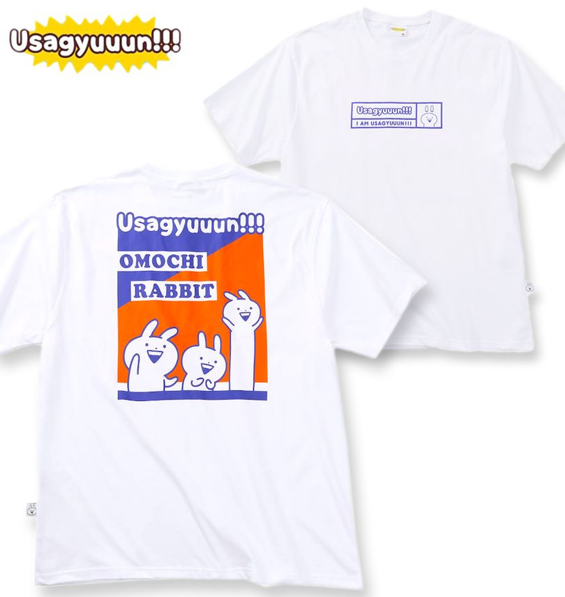 �礭�������� �������塼��! �ץ��� Ⱦµ T����� �ۥ磻�� 3L 4L 5L 6L 8L ����̵��