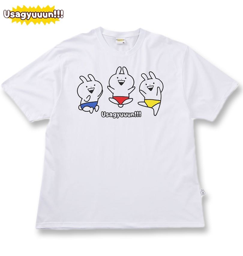 �礭�������� �������塼��! �ץ��� Ⱦµ T����� �ۥ磻�� 3L 4L 5L 6L 8L ����̵��