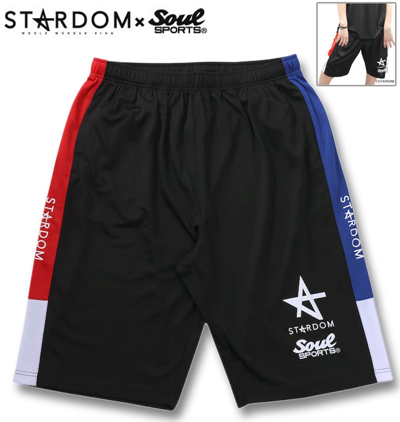 礭 SOUL SPORTSSTARDOM 5STAR-GP2025 硼ȥѥ ֥å 3L 4L 5L 6L 8L ̵