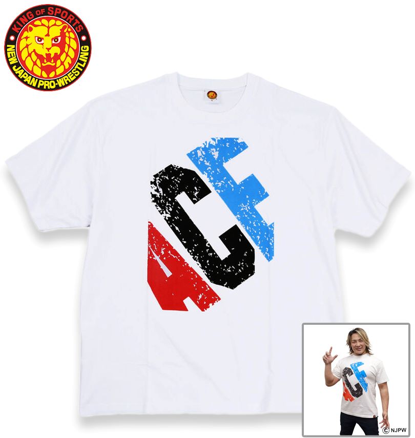 �礭�������� �����ܥץ��쥹 ê������ ��BIG ACE�� Ⱦµ T����� �ۥ磻�� 3L 4L 5L 6L 8L ����̵��