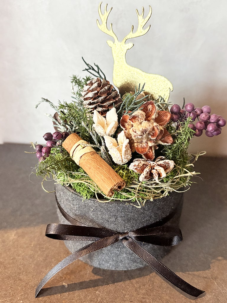 【大阪店オリジナル】Petit Bois｜送料込み* 