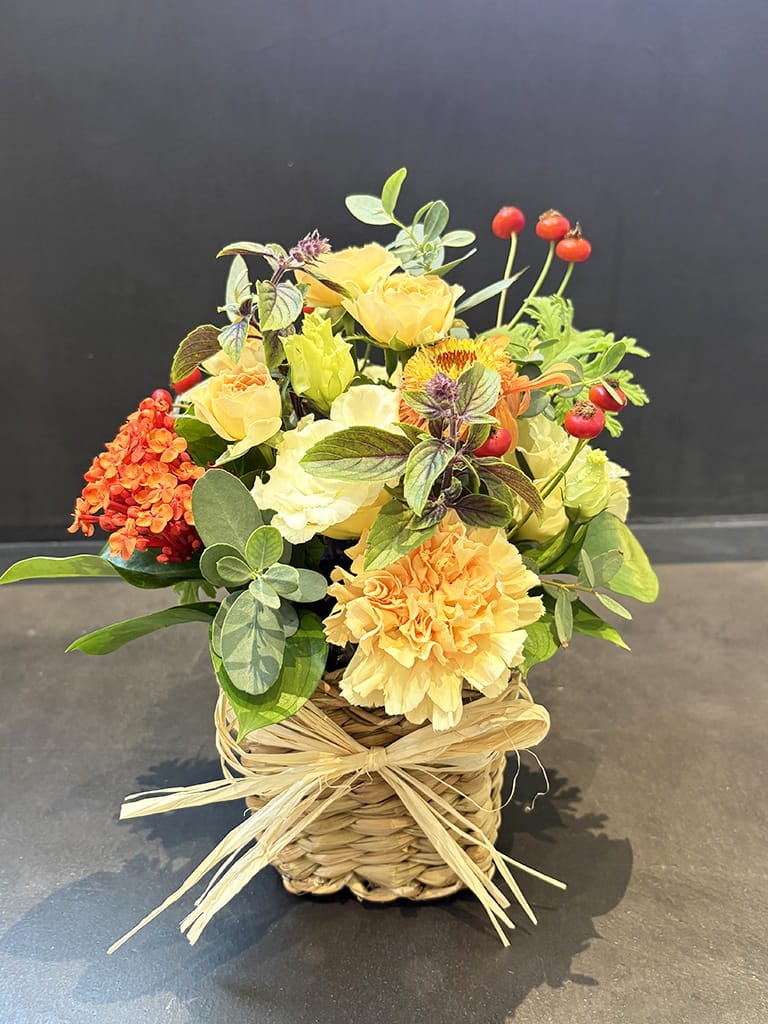 【大阪店オリジナル】Jardin Fleuri｜ シトロン ｜送料込み*