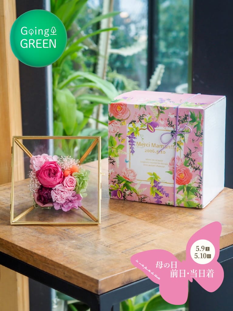 母の日 前日・当日着｜プリザーブドフラワー｜Coffret - コフレ - フランボワーズ [ ピンク系 ]｜数量限定