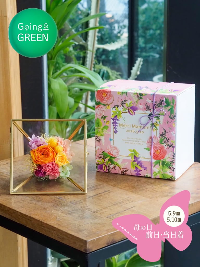 母の日 前日・当日着｜プリザーブドフラワー｜Coffret - コフレ - シトロン [ 黄・オレンジ系 ]｜数量限定