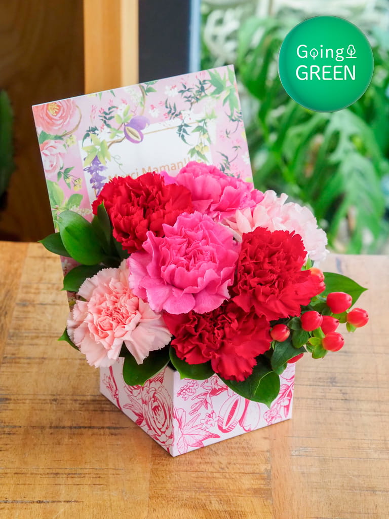 【まだ間に合う】&Eacute;crin de Fleurs - エクラン ドゥ フルール - ルージュ [ 赤系 ]｜数量限定
