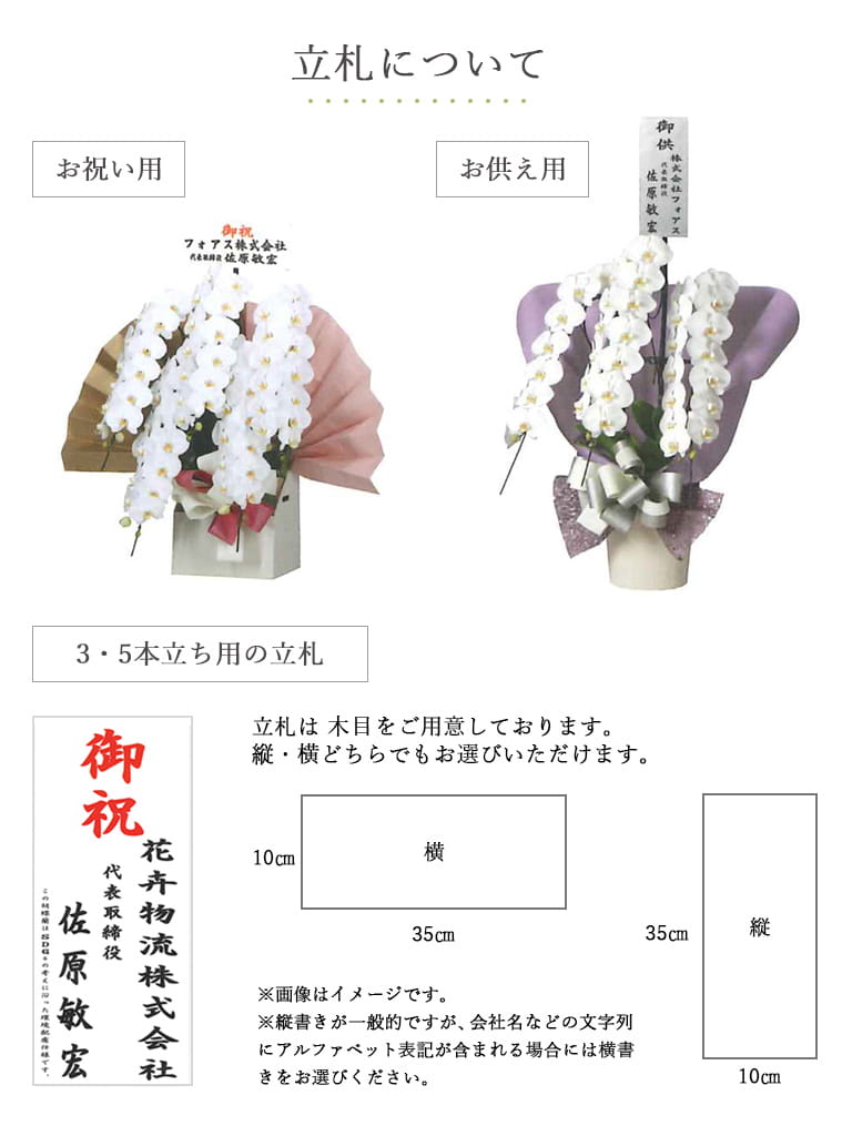 【産地直送】ヒカル・オーキッド｜フォアスPREMIUM ｜3本立ち 白｜送料込み*