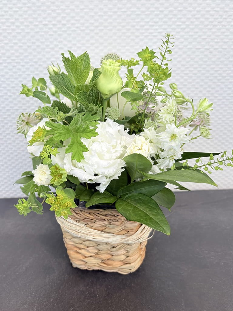 【大阪店オリジナル】Jardin Fleuri｜ ブラン ｜送料込み*