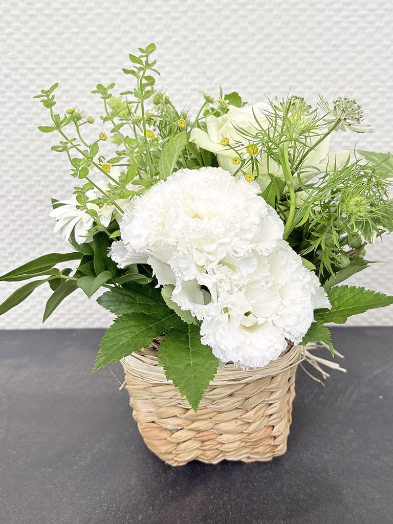 【大阪店オリジナル】Jardin Fleuri| ブラン |送料込み*