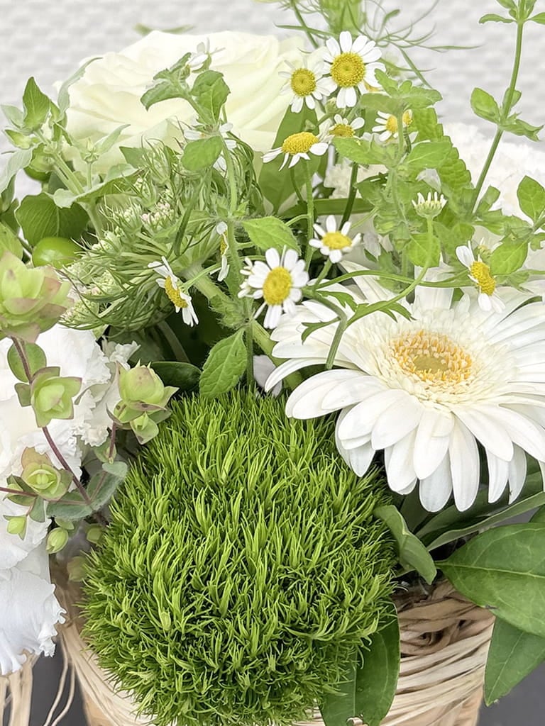 【大阪店限定|店頭受取】Jardin Fleuri| ブラン
