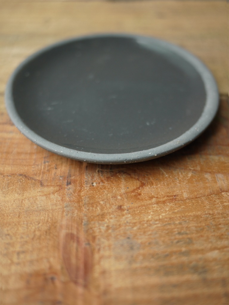 【一点もの】ユーフォルビア オペサ