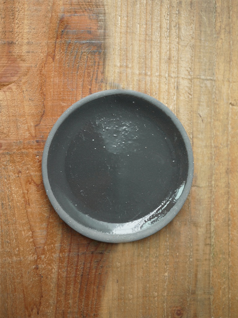 【一点もの】ユーフォルビア オペサ