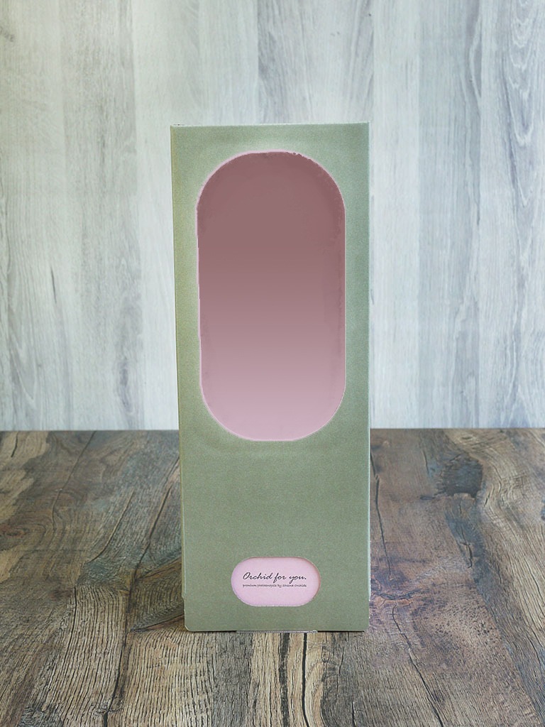 【産地直送】椎名洋ラン園 マイクロ胡蝶蘭1本立ち｜濃いピンク系｜送料込み*