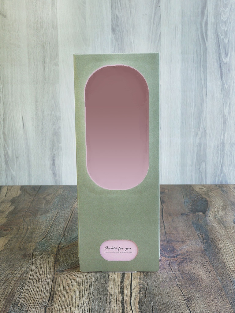 【産地直送】椎名洋ラン園 マイクロ胡蝶蘭1本立ち|イエロー系|送料込み*