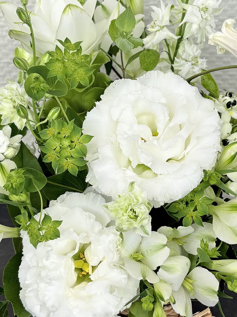【大阪店限定｜店頭受取】ご供花｜Jardin Fleuri ブラン