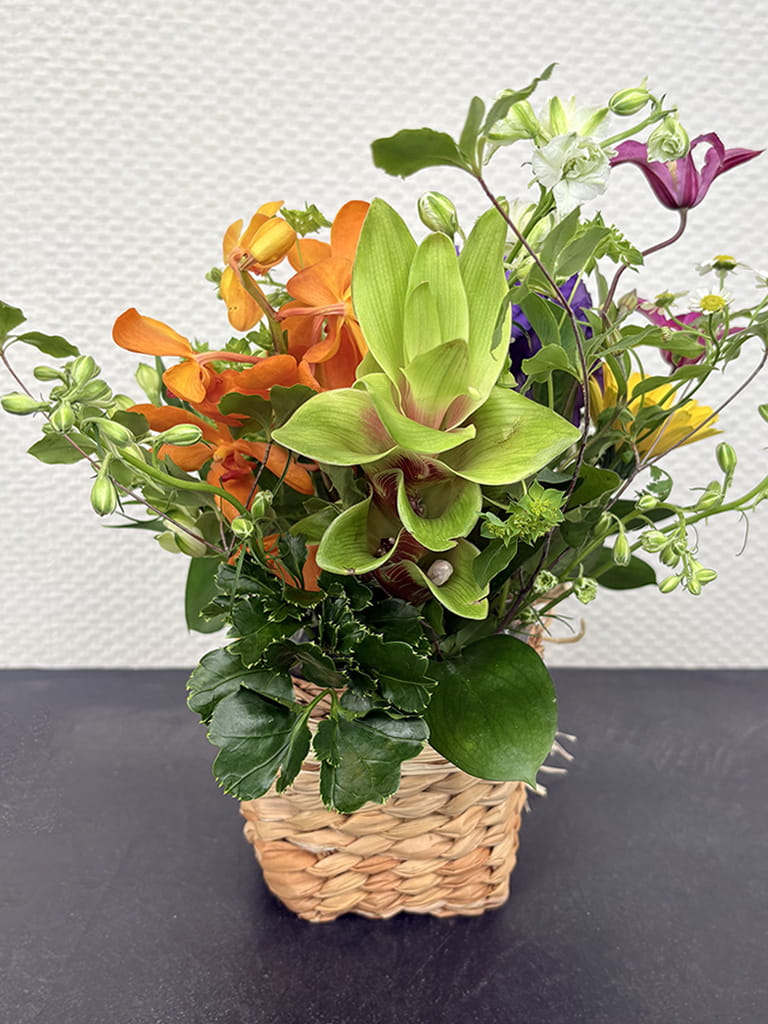 【大阪店限定｜店頭受取】ご供花｜Jardin Fleuri カラフル