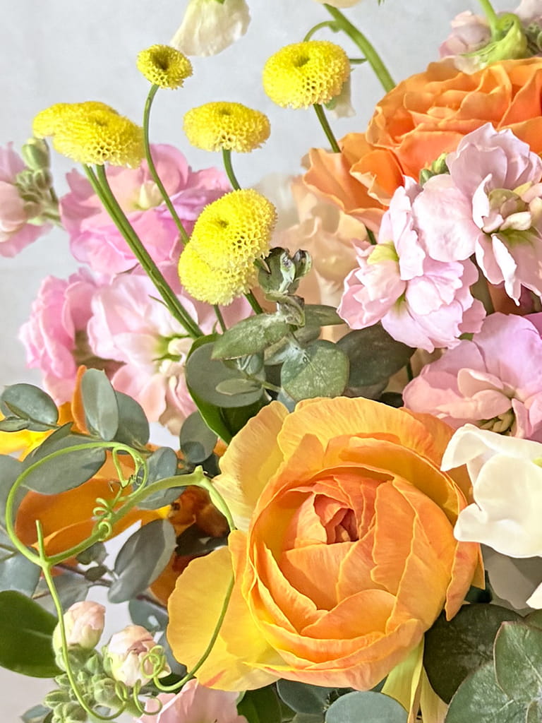 【大阪店限定｜店頭受取】Jardin Printemps