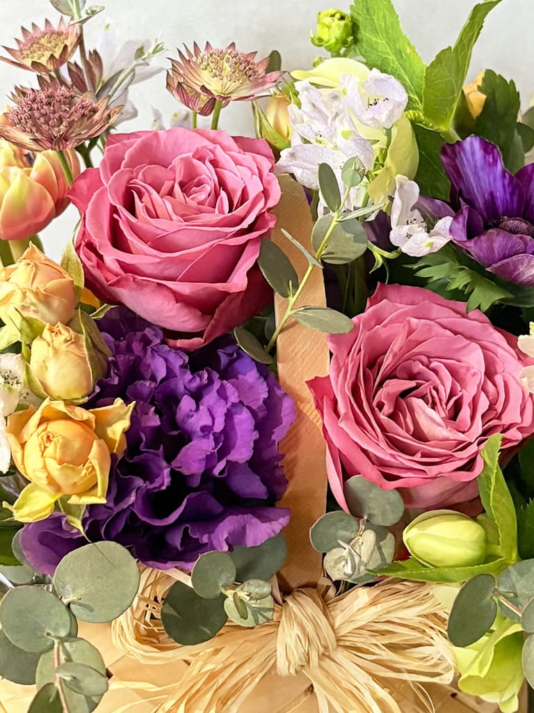 【大阪店限定｜店頭受取】Jardin Printemps