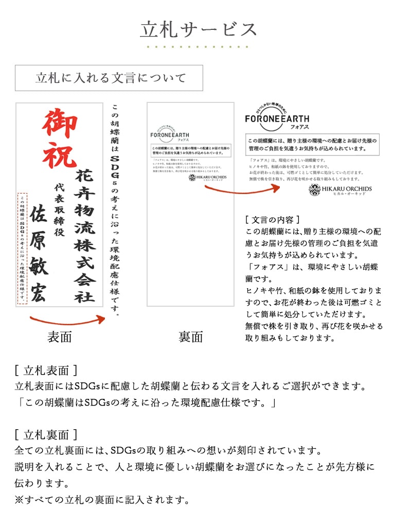 【産地直送】ヒカル・オーキッド｜フォアスPREMIUM ｜5本立ち　ピンク(和紙風紙鉢）｜送料込み*