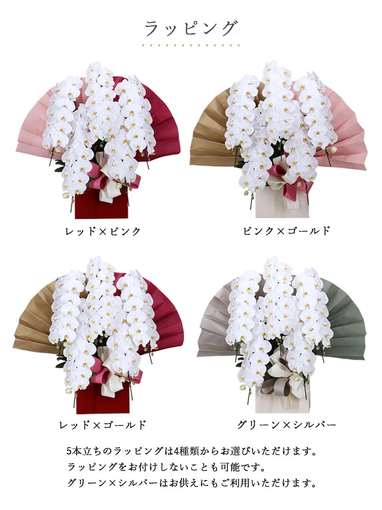 【産地直送】ヒカル・オーキッド|フォアスPREMIUM |5本立ち 白(和紙風紙鉢)|送料込み*
