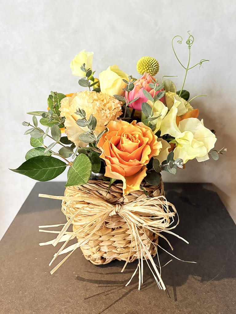 【大阪店オリジナル】Jardin Fleuri｜ シトロン ｜送料込み*