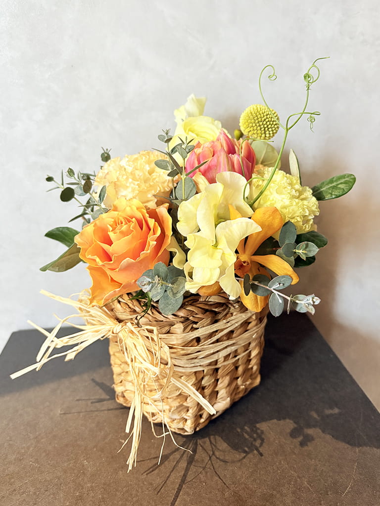 大阪店オリジナル】Jardin Fleuri｜ シトロン ｜送料込み* | 大阪