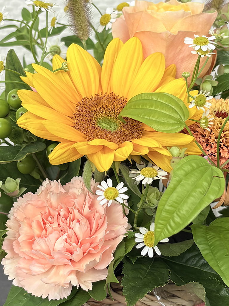 【大阪店限定｜店頭受取】Jardin Fleuri｜ シトロン