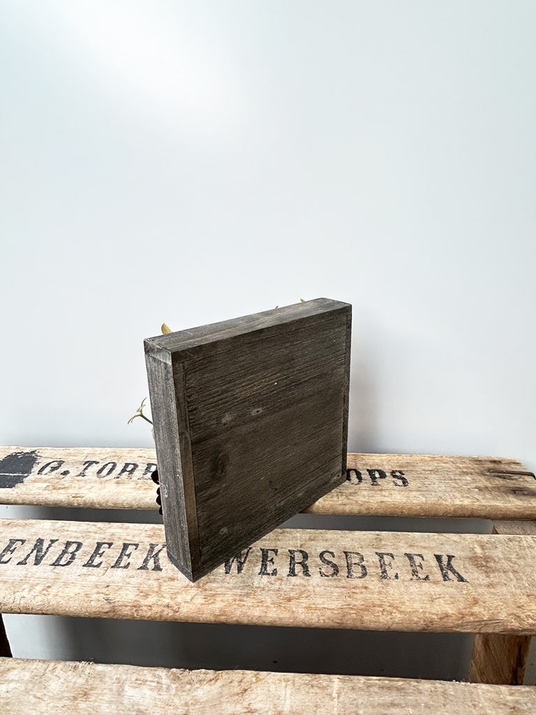 【一点もの| 店頭受取 | 大崎店限定 】フラワーフレーム｜ルージュ