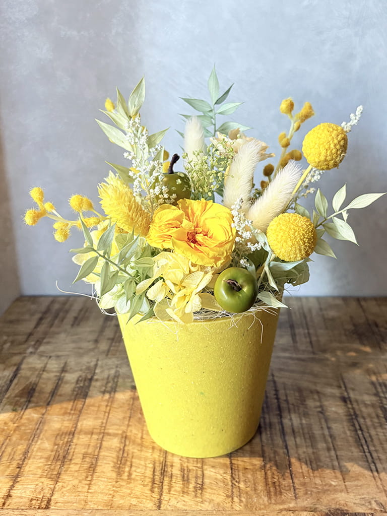 【大阪店オリジナル】Petit Bonheur［mimosa］-プティボヌール　ミモザ- ｜送料込み*