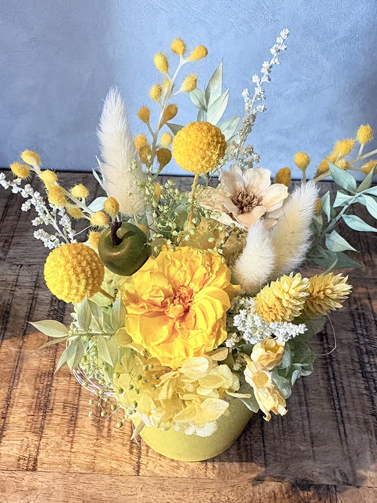 【大阪店限定｜店頭受取】Petit Bonheur［mimosa］-プティボヌール　ミモザ- ｜送料込み*