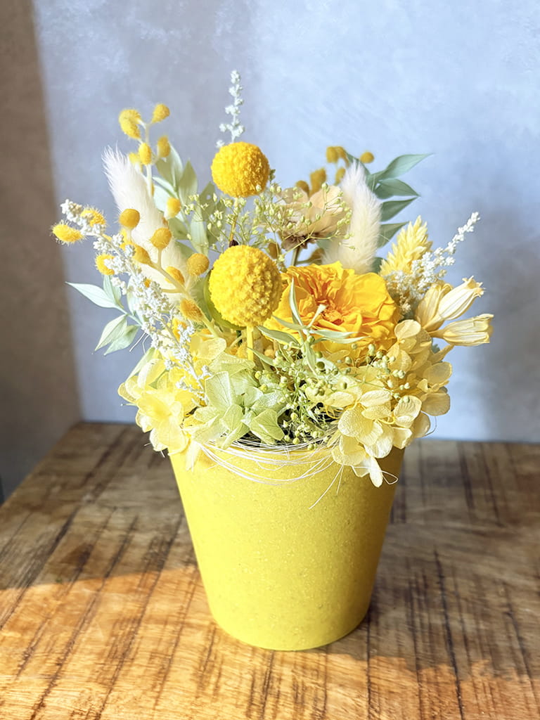 【大阪店限定｜店頭受取】Petit Bonheur［mimosa］-プティボヌール　ミモザ- ｜送料込み*