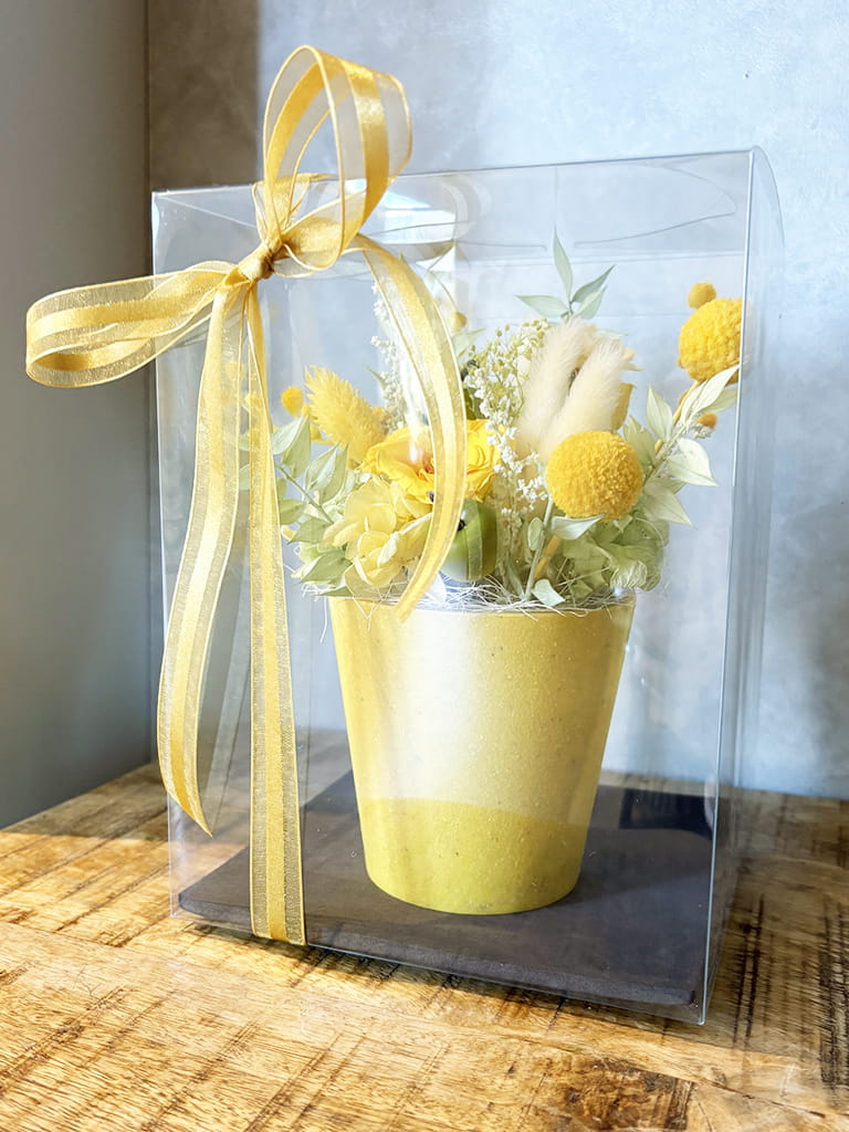 【大阪店限定｜店頭受取】Petit Bonheur［mimosa］-プティボヌール　ミモザ- ｜送料込み*