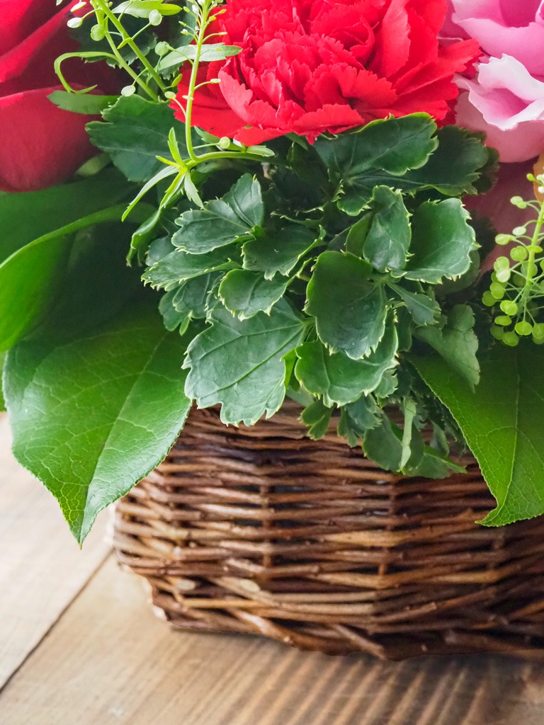 母の日 前日・当日着｜トラディショナルパニエ｜ルージュ [ 赤系 ]