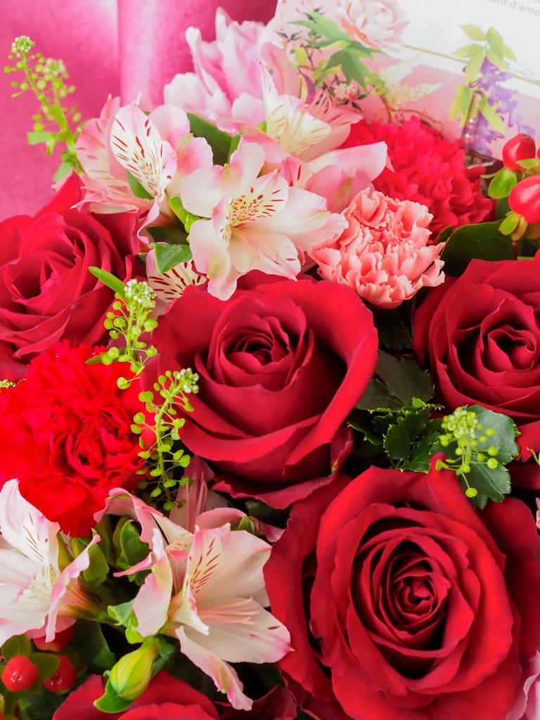 母の日 前日・当日着｜トラディショナルパニエ｜ルージュ [ 赤系 ]