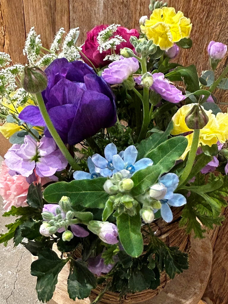 【亀戸店限定|店頭受取】季節のナチュラルアレンジメント|数量限定