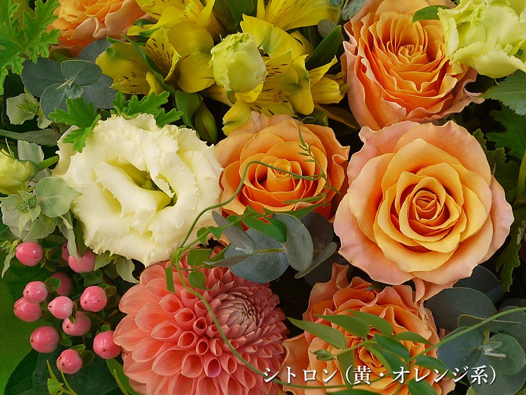 ナチュラルバスケットアレンジメント｜Lサイズ｜選べる5色