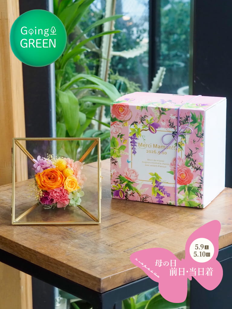 母の日限定