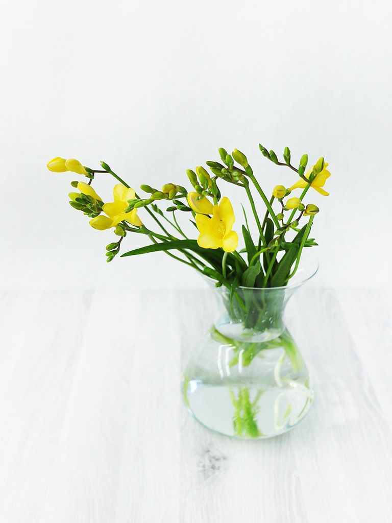 おうちで楽しむ ワンハンドブーケ フリージア 送料込み 予算 3 000円 レミルフォイユドゥリベルテ 花 ギフト 通販