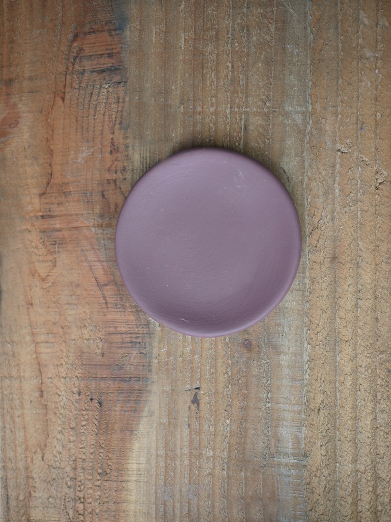 【一点もの】サボテン ムラサキタイヨウ