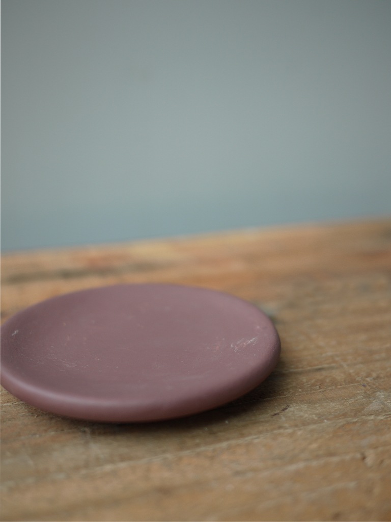 【一点もの】サボテン ムラサキタイヨウ